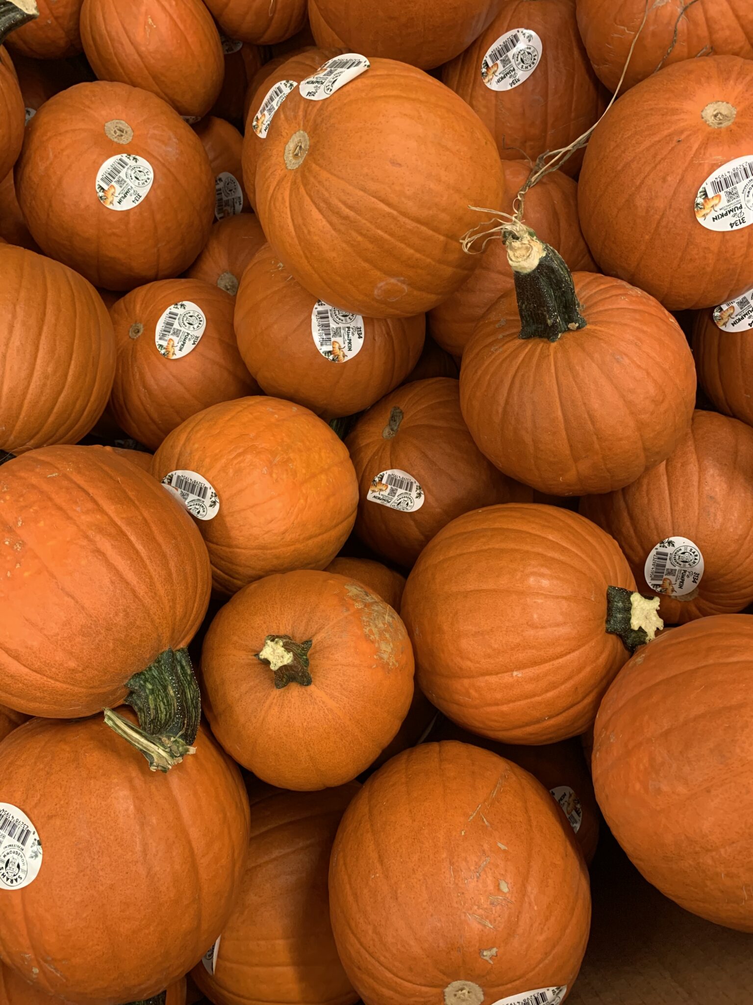 Fall Aesthetic Pumpkin Patch vibes Pumpkin